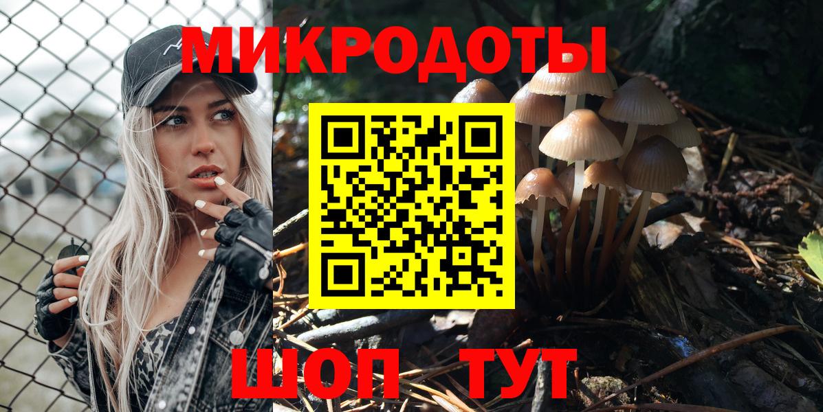 Павловский Посад  Псилоцибиновые грибы прущие грибы  Вход с VPN 